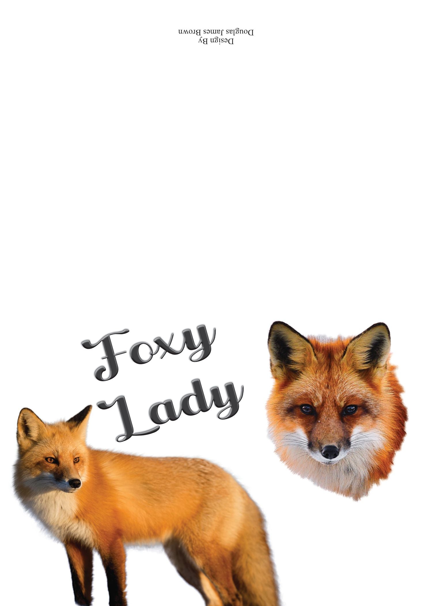 A foxy Lady - With a Intelliegence, Style, Grace & Craft, Elightening Lady Loved.