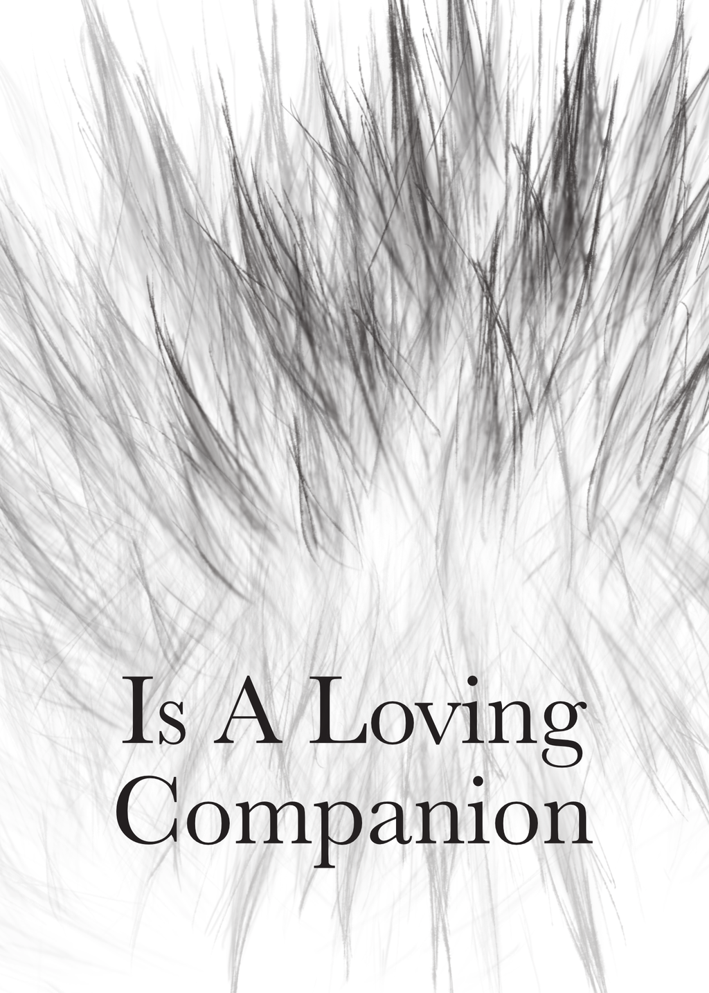 A Furry Friend - Is A Loving Companion