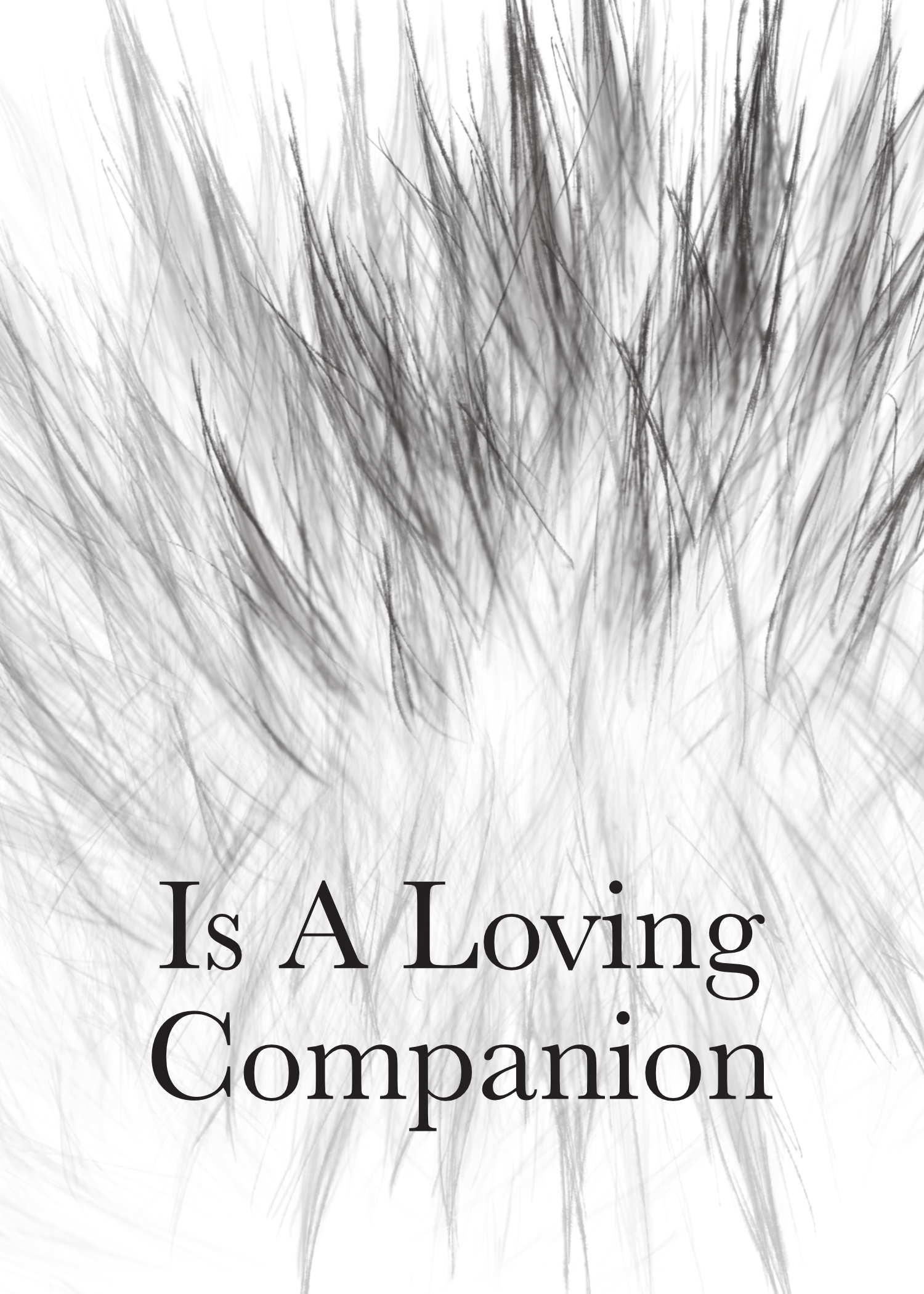 A Furry Friend - Is A Loving Companion