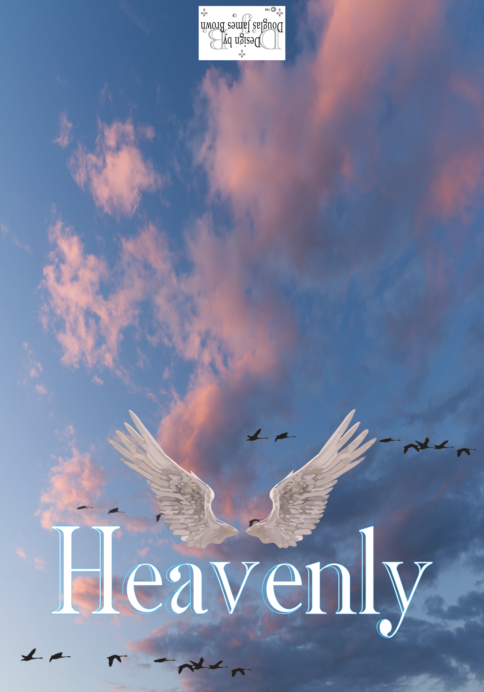 Heavenly - Insights