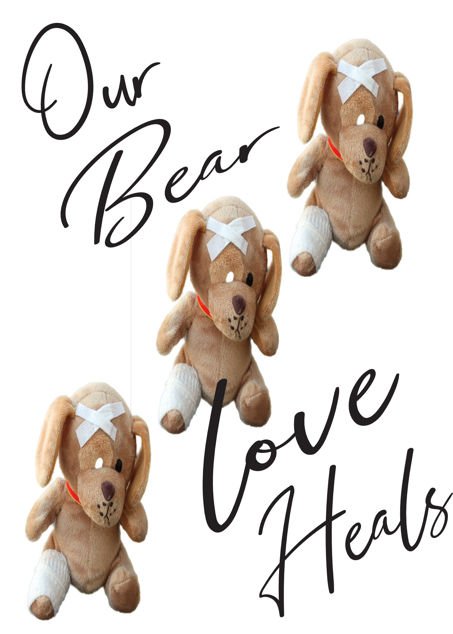 ILL - Our Bear Love Heals.