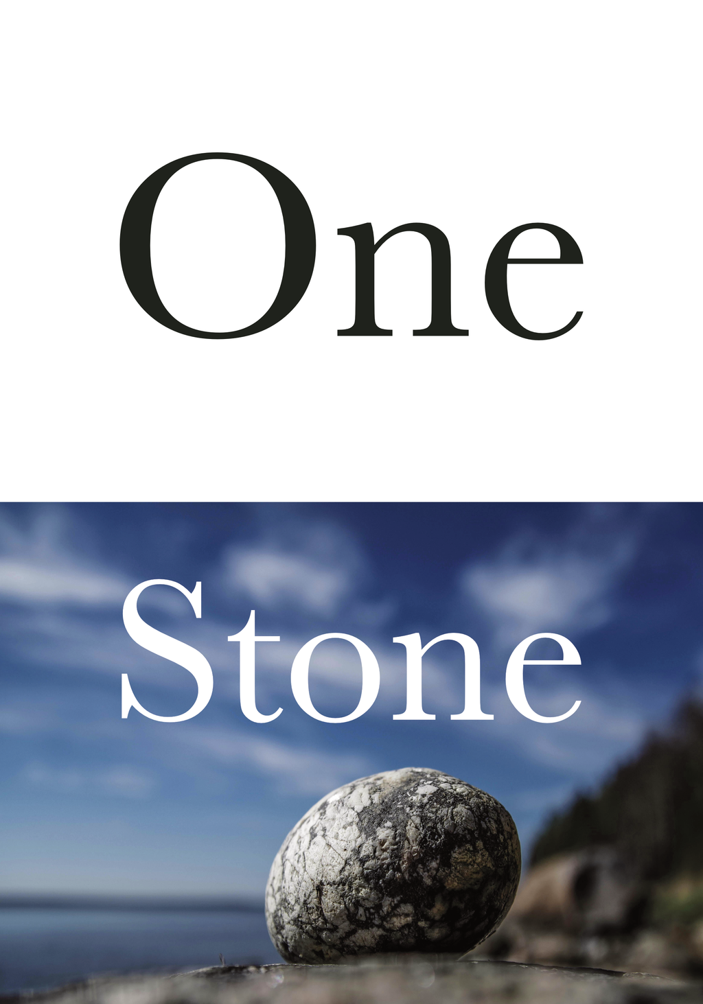 Two Birds - One Stone!