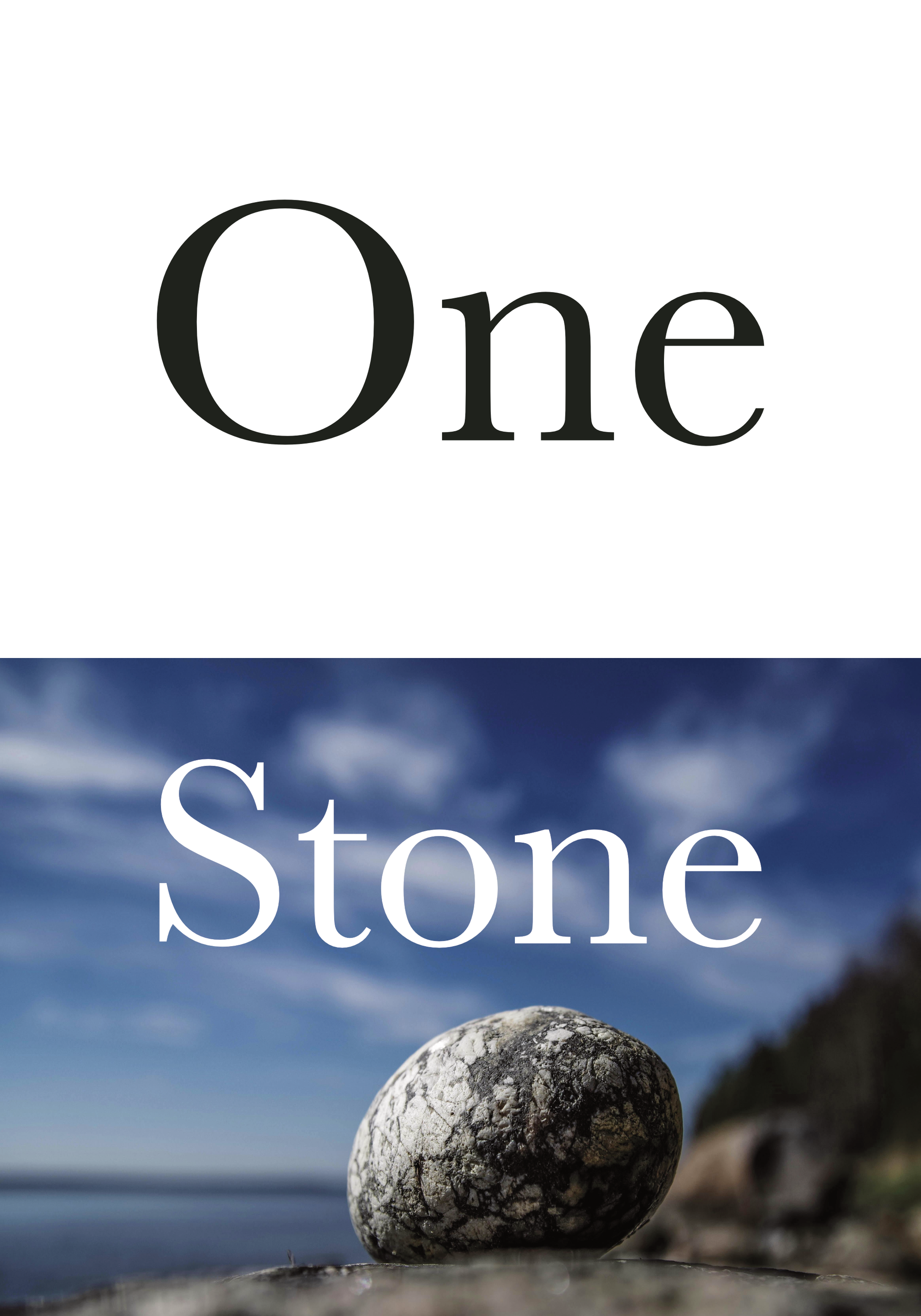 Two Birds - One Stone!